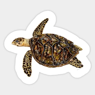 Hawksbill turtle Sticker